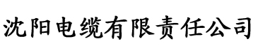 懂你视频导航电缆厂logo